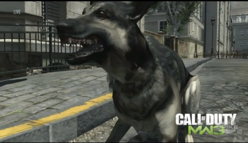 Illustration for article titled Thanks, Call of Duty Dog, For Brightening Up A Mostly Dull Xbox Event